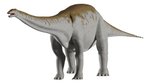Imagen de Juego Paleontología Dinosaurios Realidad Aumentada Niños 6a+ - apatosaurus
