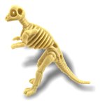 Imagen de Juego Paleontología Dinosaurios Realidad Aumentada Niños 6a+ - pachycephalosaurus