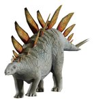 Imagen de Juego Paleontología Dinosaurios Realidad Aumentada Niños 6a+ - stegosaurus