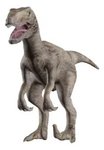 Imagen de Juego Paleontología Dinosaurios Realidad Aumentada Niños 6a+ - velociraptor