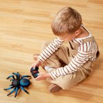 Imagen de Araña a control remoto Terra-azul