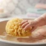 Imagen de Esponja marina 100% natural para baño
