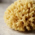 Imagen de Esponja marina 100% natural para baño