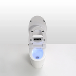 Imagen de Inodoro inteligente TRITON Q9