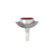 Imagen de Anillo Sasha