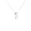 Previous