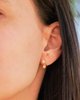 Imagen de Caravanas Milus Oro 18k