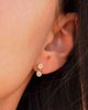 Imagen de Caravanas Milus Oro 18k