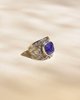 Imagen de Anillo Lucio