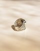 Imagen de Anillo Lucio