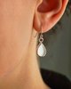Imagen de Caravanas Amu