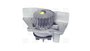 Imagen de BOMBA DE AGUA CITROEN JUMPER 1.9D/XSARA/EXPERT/BERLINGO
