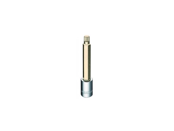 Imagen de DADO  DE 1/2" SPLINE LARGO M5