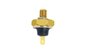 Imagen de INTERRUPTOR PRESION ACEITE VW BORA/GOLF/PASSAT/AUDI A3/A4