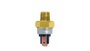 Imagen de AUTOMATICO FRENO CAMIONES FORD (VARGAS) 4.5BAR 1/4X18NPTF