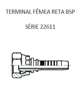 Imagen de HEMBRA RECTO 3/4" BSP X 14F 10 MANG.5/8" CONICO