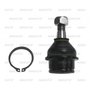 Imagen de ROTULA SUPERIOR SUSP. NISSAN FRONTIER/PATHFINDER 2005-2010
