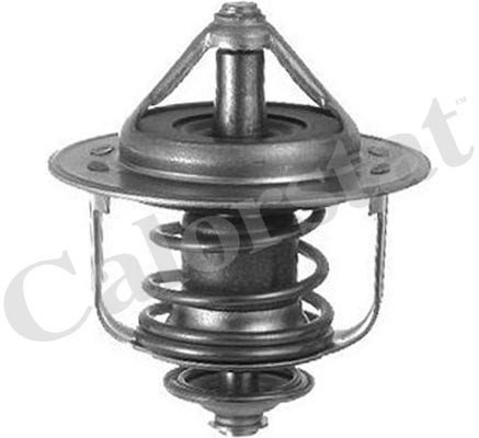 Imagen de TERMOSTATO CORSA II/MERIVA 1.7TD Y17DT 02. . . 89