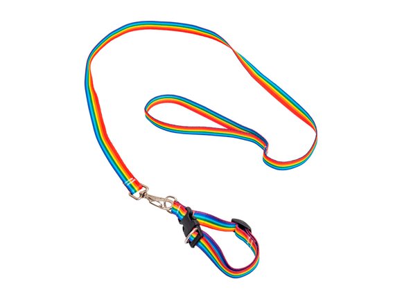 Imagen de KIT 10 CORREAS Y COLLARES P/PERRO EN CINTA DE POLIESTER