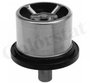 Imagen de TERMOSTATO RENAULT MIDLUM 300