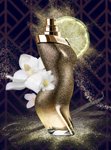 Imagen de Shakira Dance Midnight Edt 80 ml