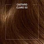 Imagen de Tinta Koleston Kit Nº50 Castaño Claro