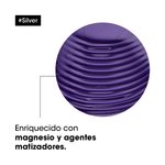 Imagen de Shampoo Silver Matizador Loreal Pro 300 ml