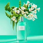 Imagen de Victorio & Lucchino Women Edt 150 ml Nº3 Iris Luminoso