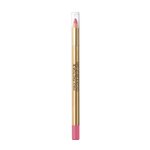 Imagen de Perfilador Labial Max Factor Colour Elixir Pink Princess 35