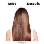 Imagen de Shampoo Reparador Absolut Repair Molecular Loreal Pro 300 ml