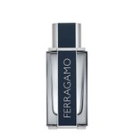 Imagen de Ferragamo Men Edt 100 ml