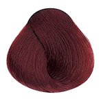Imagen de Tinta Alfaparf Evolution of the Color 60 ml N°6.6