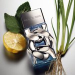 Imagen de Michael Kors Pour Homme Edp + Gel de Ducha + After Shave