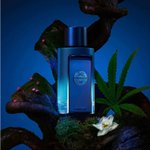 Imagen de Banderas The Icon Supreme Men Edp 50 ml