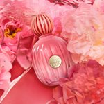 Imagen de Banderas The Icon Splendid Women Edp 50 ml