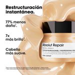 Imagen de Máscara Absolut Repair Reparación Loreal Pro 250 ml
