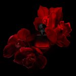 Imagen de Shakira Rojo Elixir Women Edp 80 ml