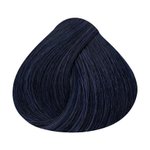 Imagen de Tinta Alfaparf Shine Effect 60 ml N°1.11