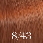 Imagen de Tinta Wella Color Touch 60 ml N°8.43