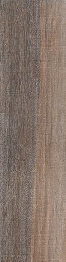 Imagen de Caja porcelanato Baoba IN 24,5 x 100 rect.( 2,2m2/caja) VILLAGRES
