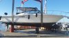 Imagen de Sea Ray 310 Amberjack