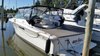 Imagen de Sea Ray 310 Amberjack