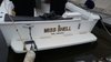 Imagen de Sea Ray 310 Amberjack