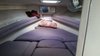 Imagen de Sea Ray 310 Amberjack