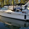 Imagen de Sea Ray 310 Amberjack