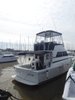 Imagen de VIKING 35'