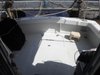 Imagen de VIKING 35'