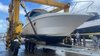 Imagen de Sea Ray 335