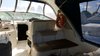 Imagen de Sea Ray 335