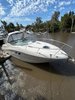 Imagen de Sea Ray 335